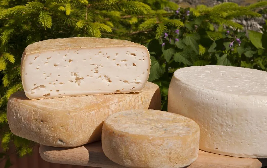 Alloggio per agriturismo Agriturismo Al Franet Tremosine Italia